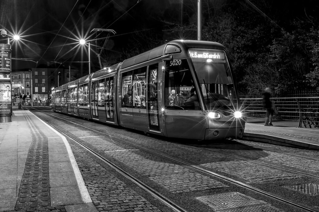 : Older red-brick home in Donnybrook showing signs of rising damp near skirting and discoloured lower walls